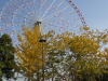 img0135.jpg