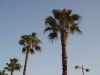 img0150.jpg