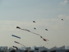 img0151.jpg