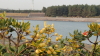 img0169.jpg