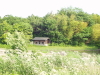 img0173.jpg