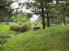 img0175.jpg