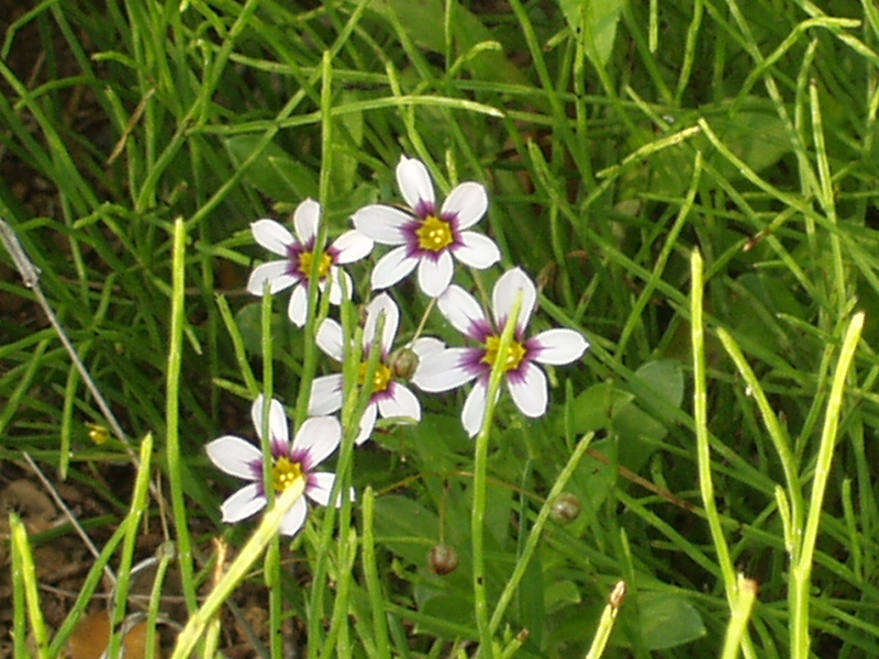 img0001.jpg