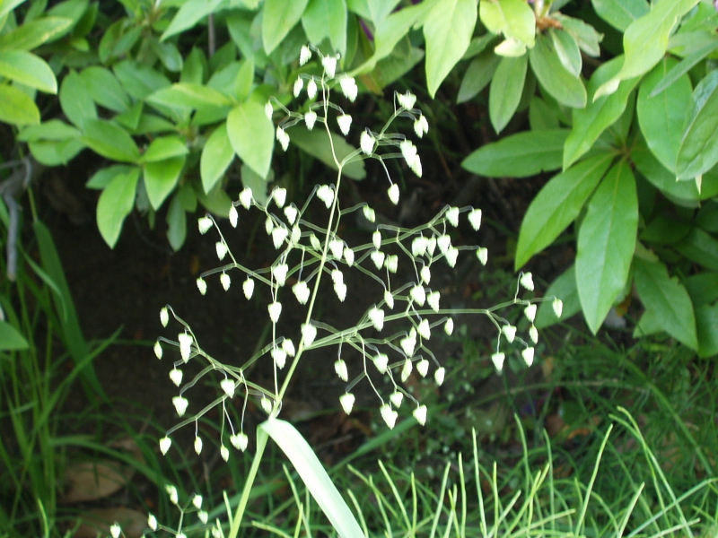 img0002.jpg