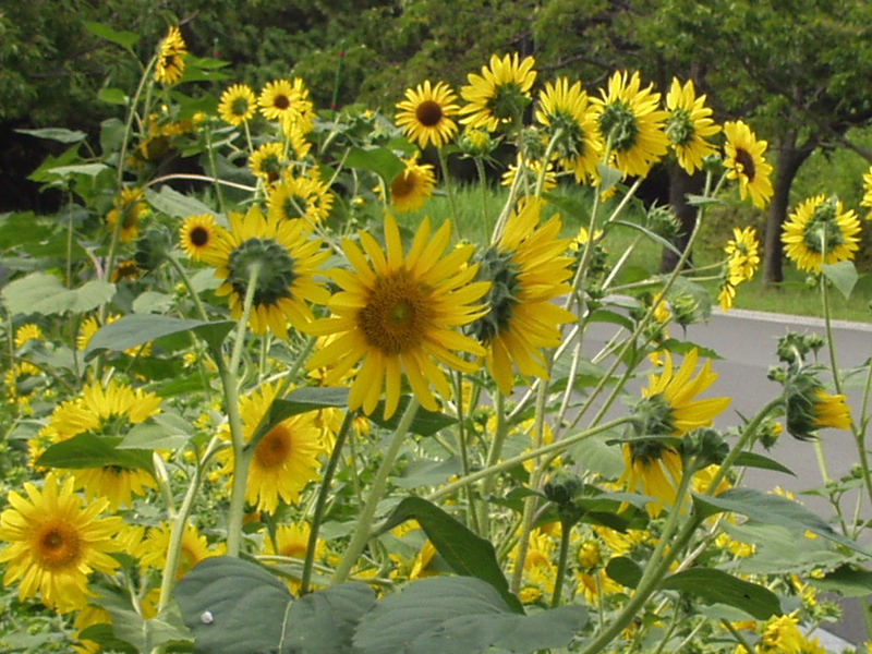 img0007.jpg