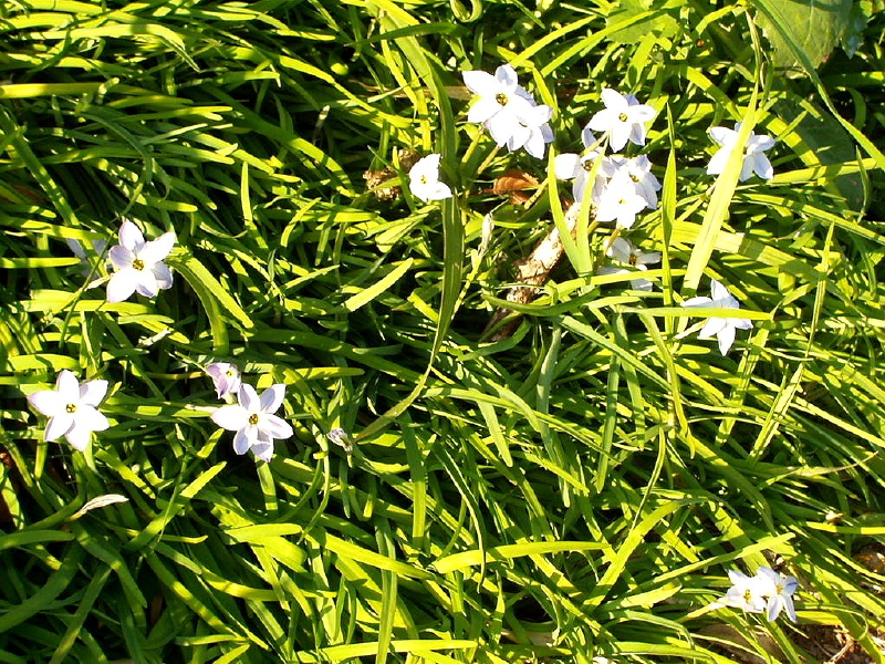 img0012.jpg