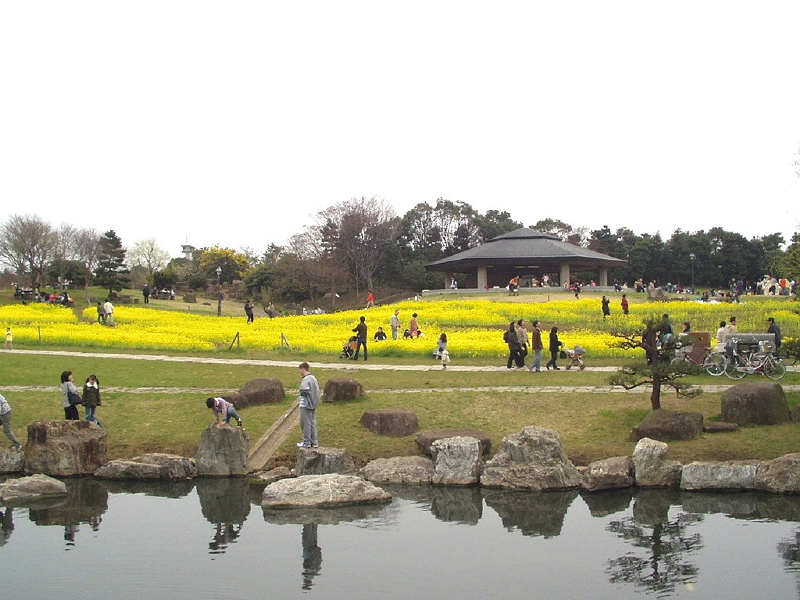 img0013.jpg