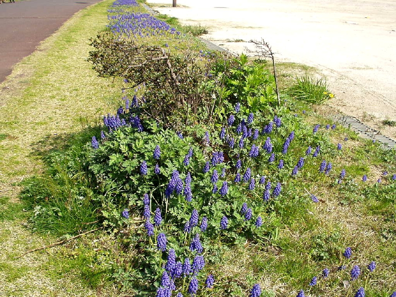 img0014.jpg