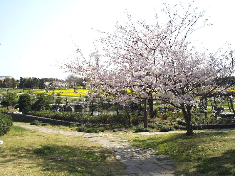 img0015.jpg