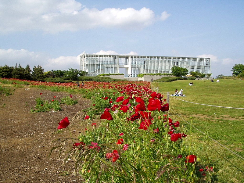 img0024.jpg