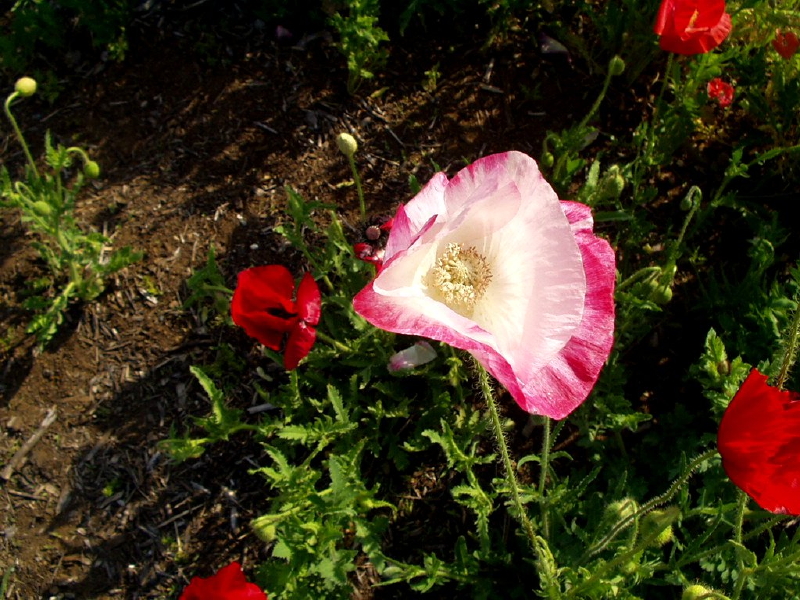 img0025.jpg