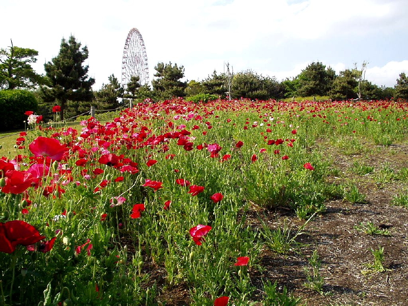 img0026.jpg