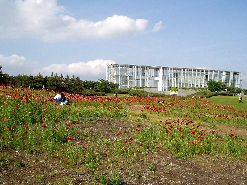 img0027.jpg