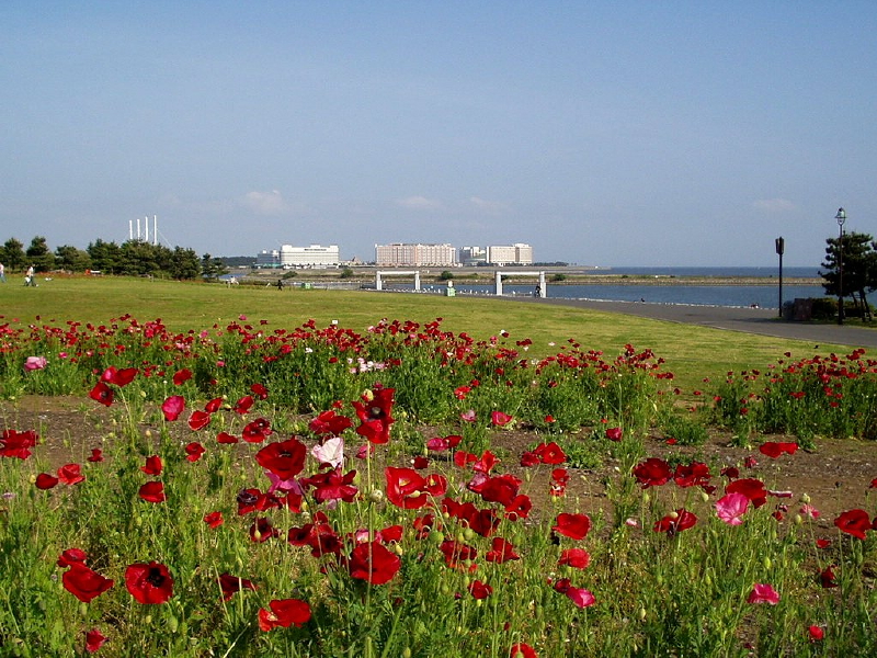 img0028.jpg