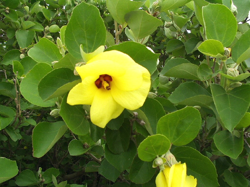 img0030.jpg