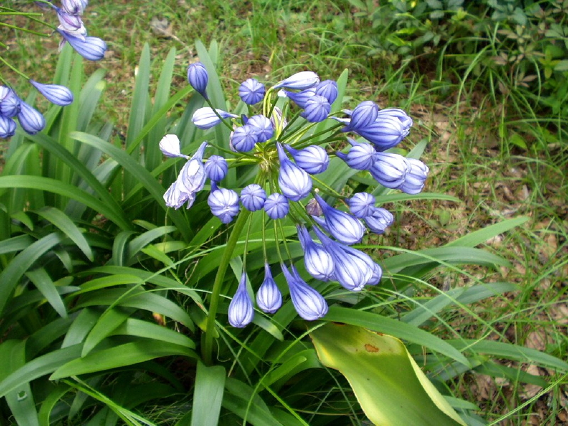 img0033.jpg