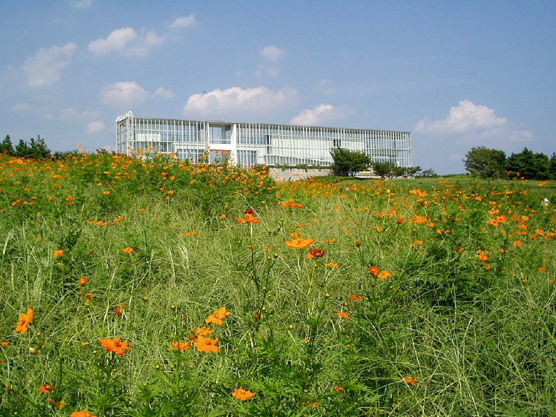 img0036.jpg