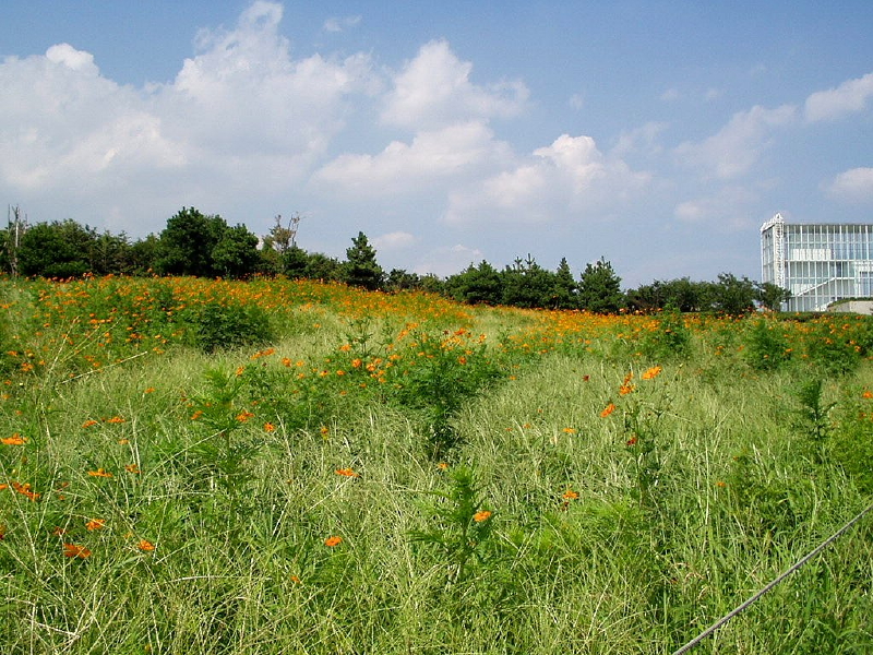 img0037.jpg