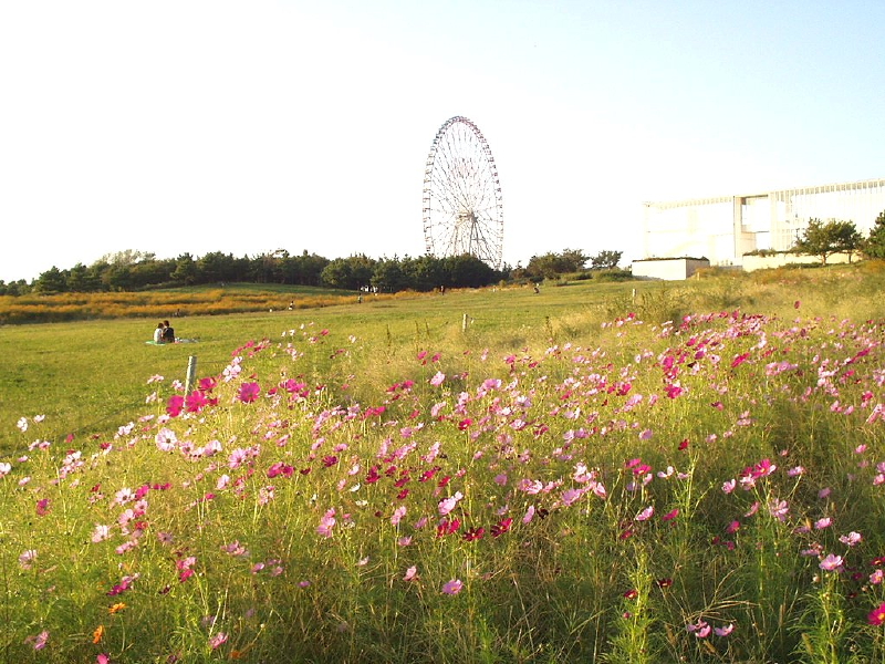 img0040.jpg