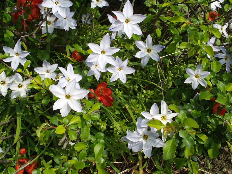 img0042.jpg