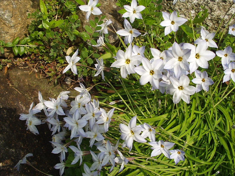 img0043.jpg
