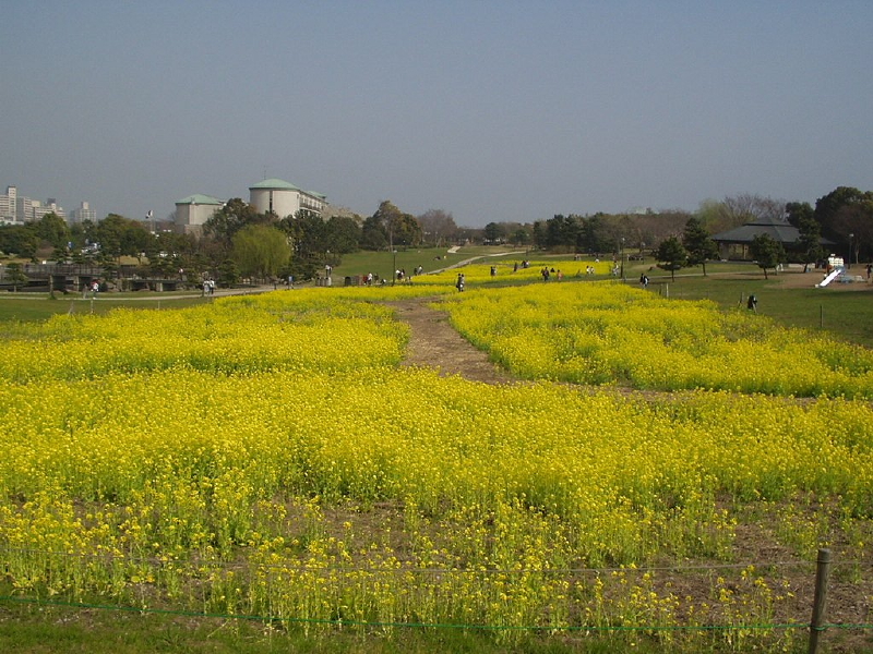 img0046.jpg