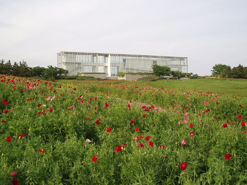img0048.jpg