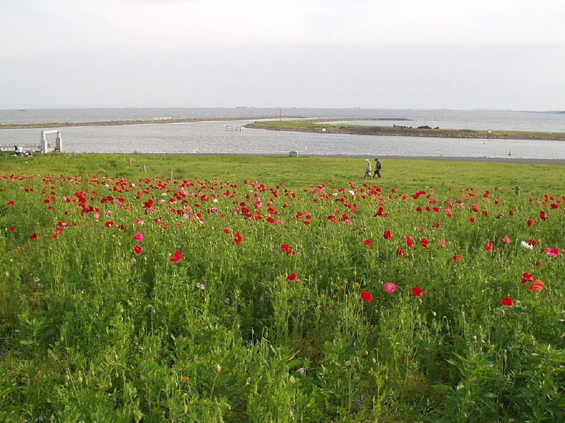img0049.jpg