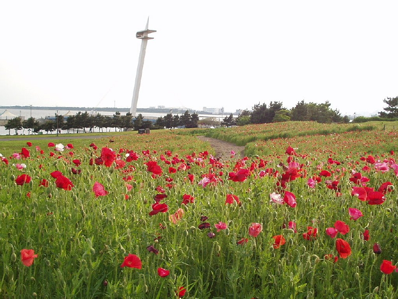 img0050.jpg
