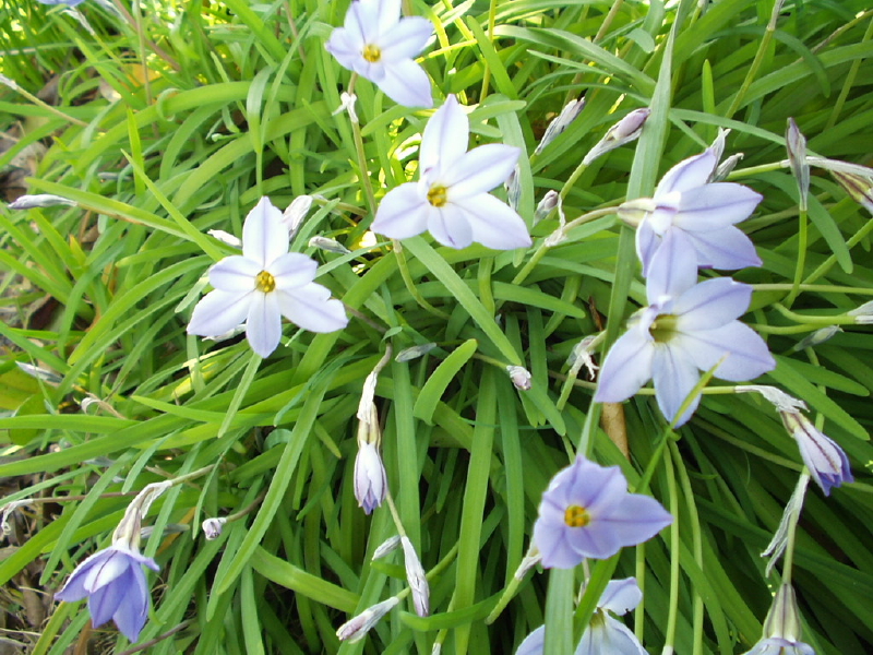 img0054.jpg