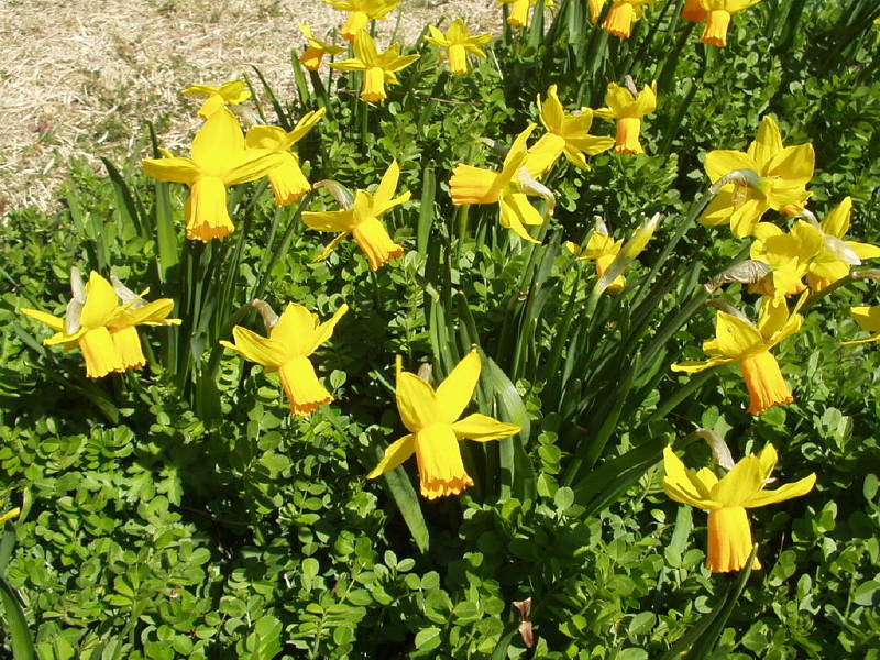 img0057.jpg