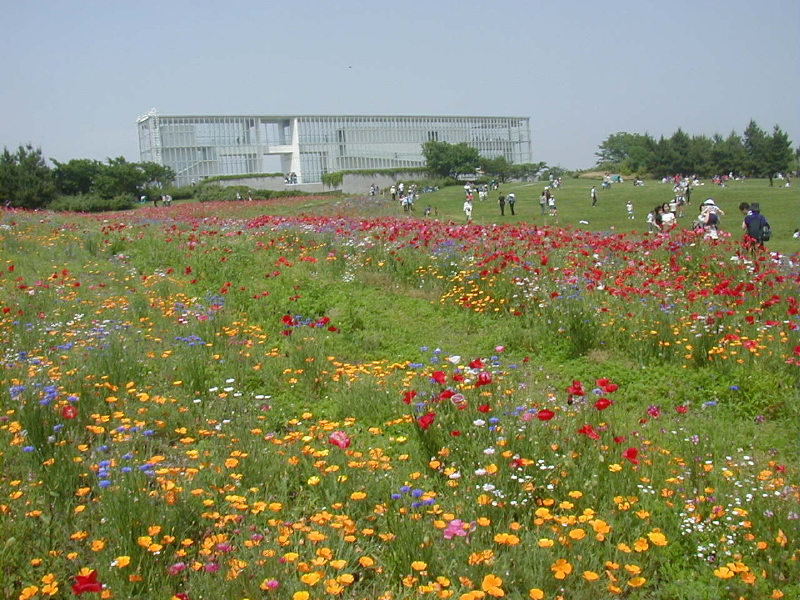 img0059.jpg