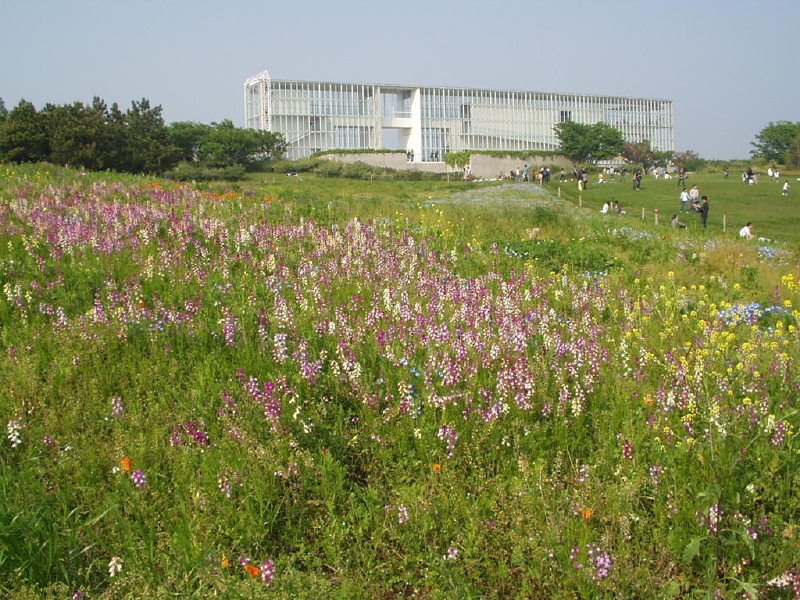 img0061.jpg