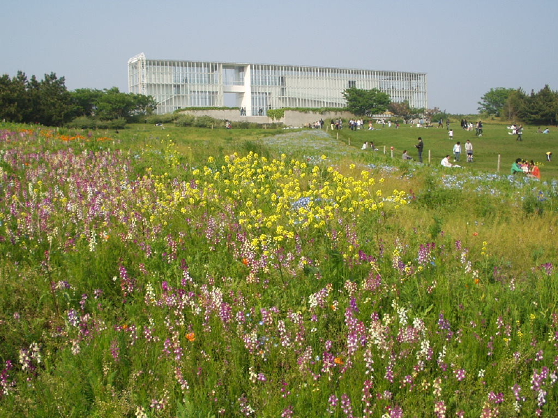img0062.jpg