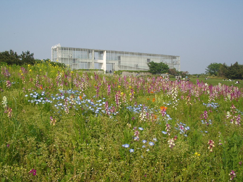 img0064.jpg