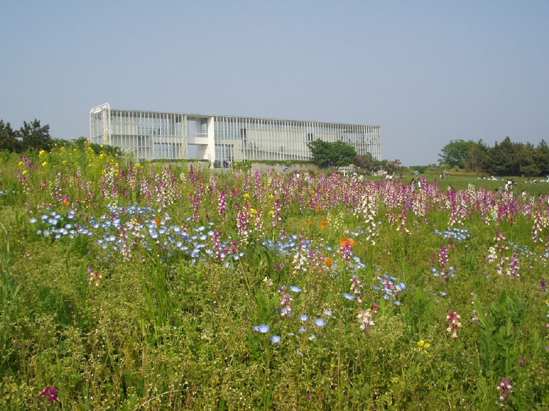 img0065.jpg