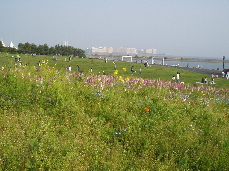 img0066.jpg