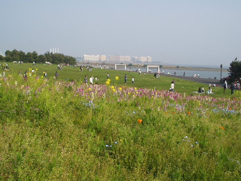 img0067.jpg