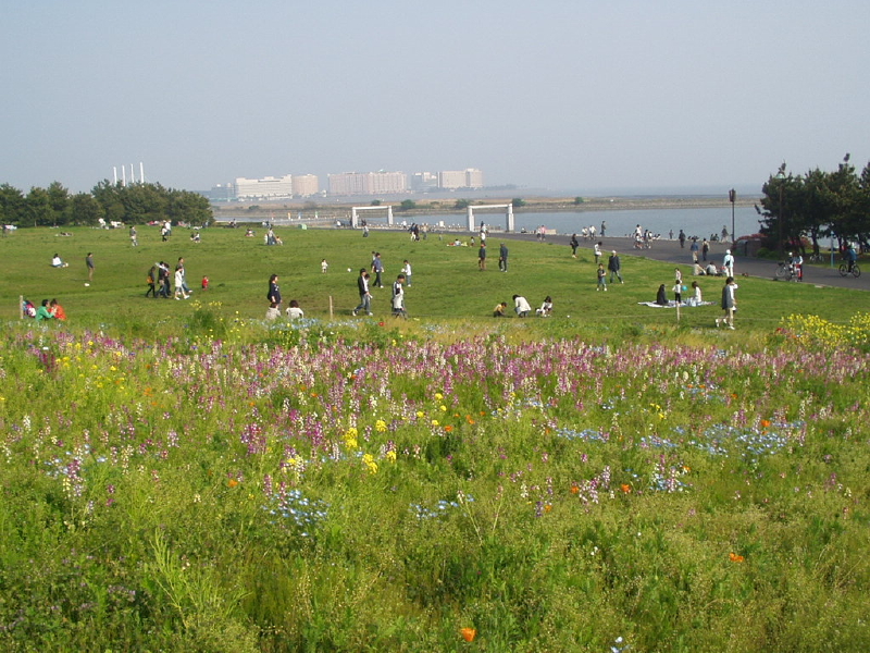 img0068.jpg