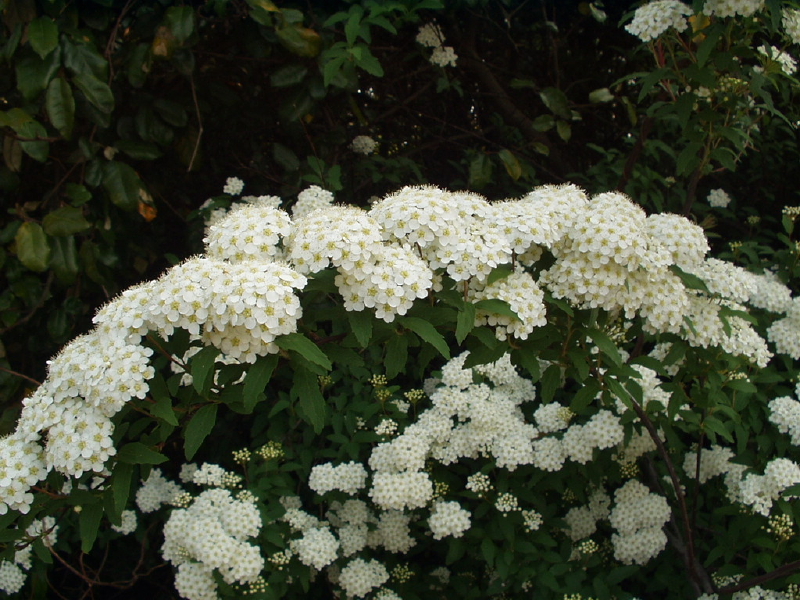 img0069.jpg