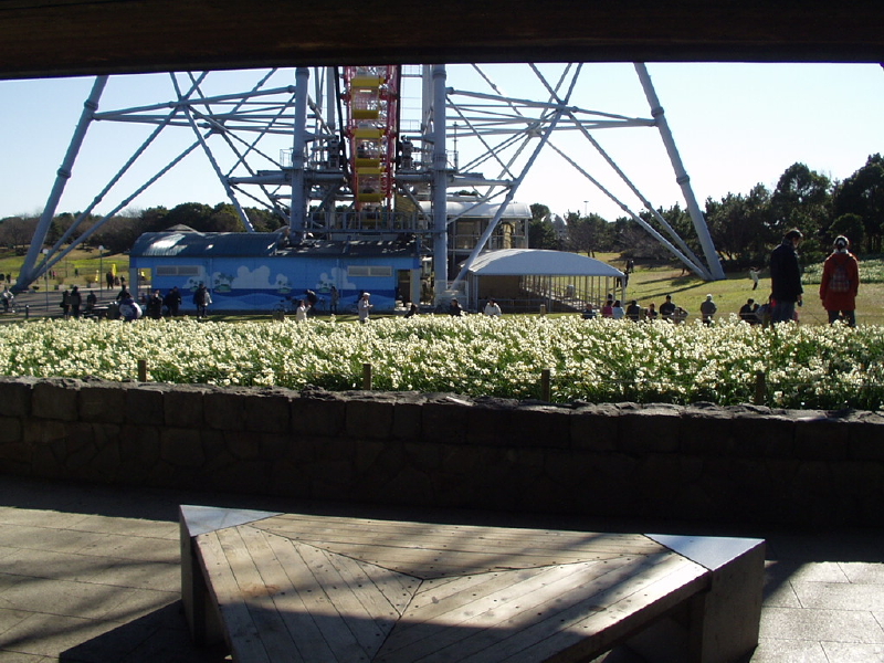 img0072.jpg