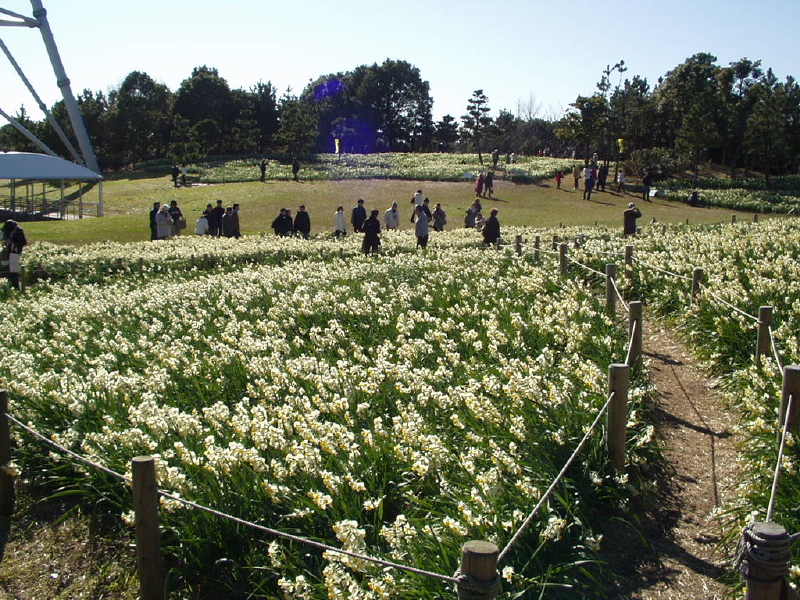 img0073.jpg