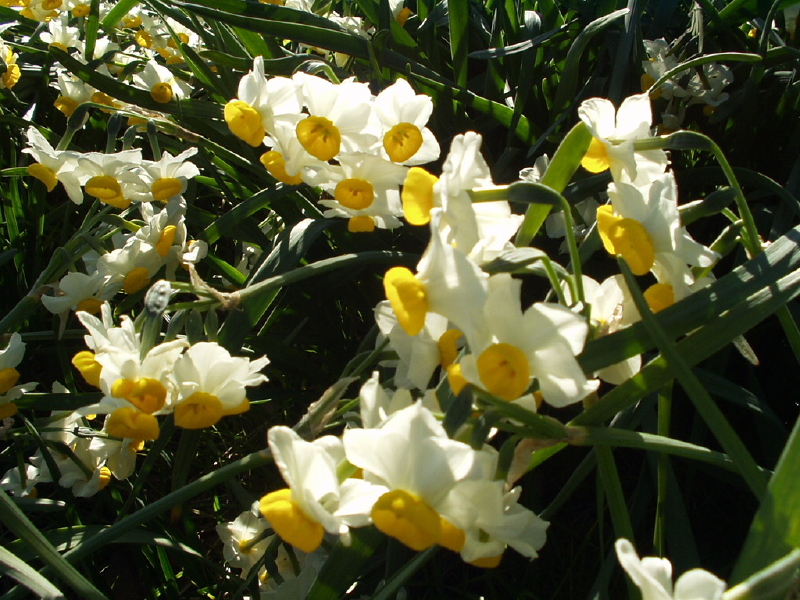 img0078.jpg