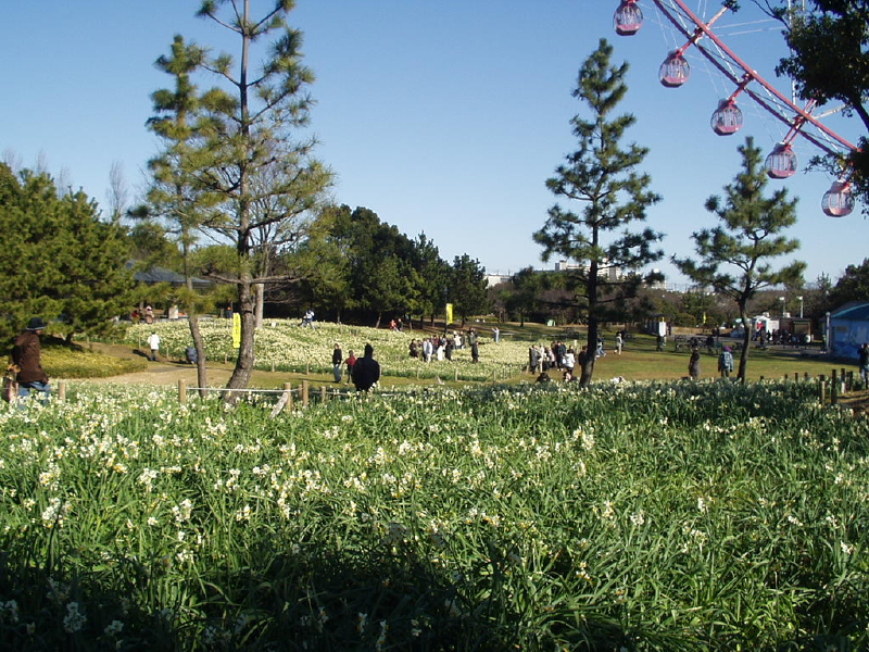 img0079.jpg
