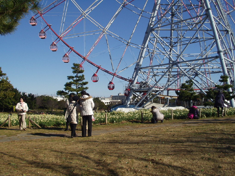 img0081.jpg