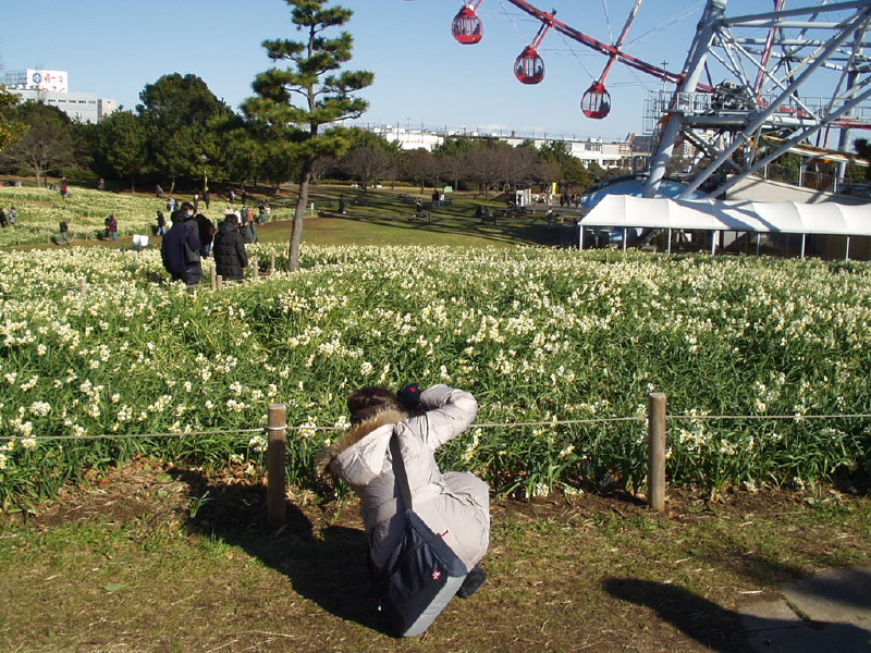 img0082.jpg