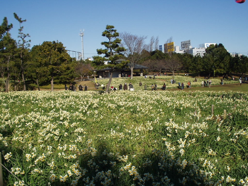 img0084.jpg