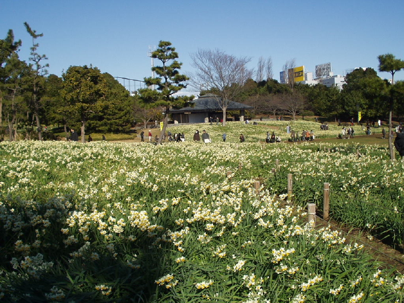 img0085.jpg