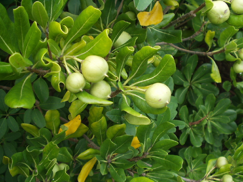 img0088.jpg
