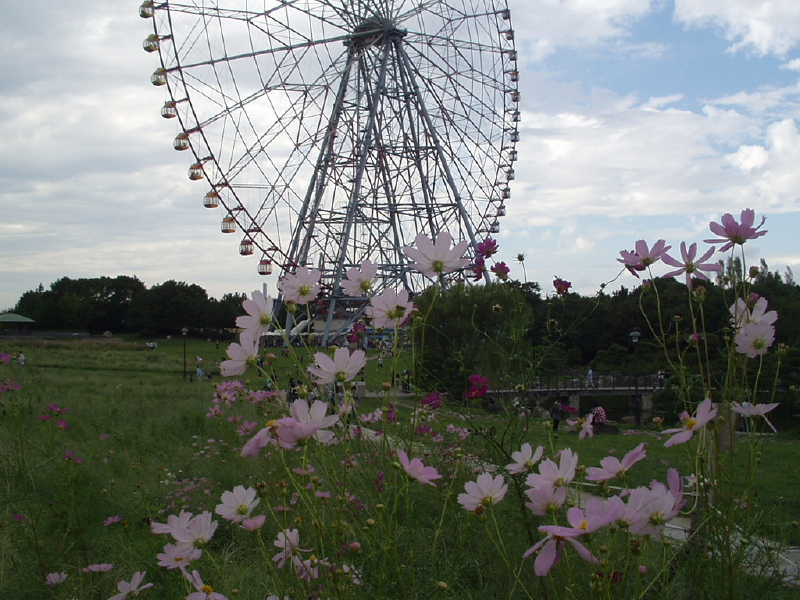 img0094.jpg